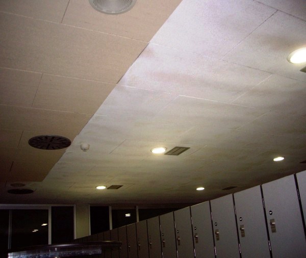 Tratamiento contra la humedad en los falsos techos de fibra natural o paja prensada