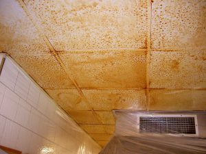 limpieza profunda de techos de cocinas en barcelona